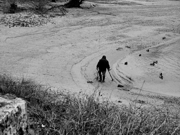Week 05 - A treasure hunter on the Rhine. Equipped with a shovel and metal detector, a treasure hunter is on the lookout for treasure next to the ferry head of the Rhine ferry Langst-Kierst on Saturday morning. The ducks to his right don't mind.