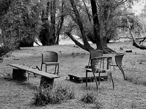 Week 19 - Little Idyll. In a lonely spot on the banks of the Rhine, where strollers rarely pass, there is a hidden retreat under trees, which includes this nook.