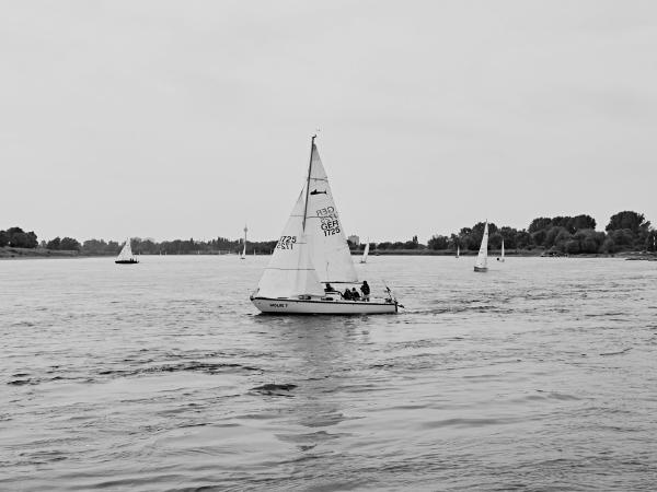Week 23 - Sailing Regatta. Whitsun 1922 was the birth of the first Rhine Week, a sailing regatta on the Rhine that is now steeped in tradition. 100 years later, on Whitsun 2022, the participants pass Meerbusch-Büderich just before the Flughafenbrücke (airport bridge). The Rhine Tower in Düsseldorf can be seen in the background.
