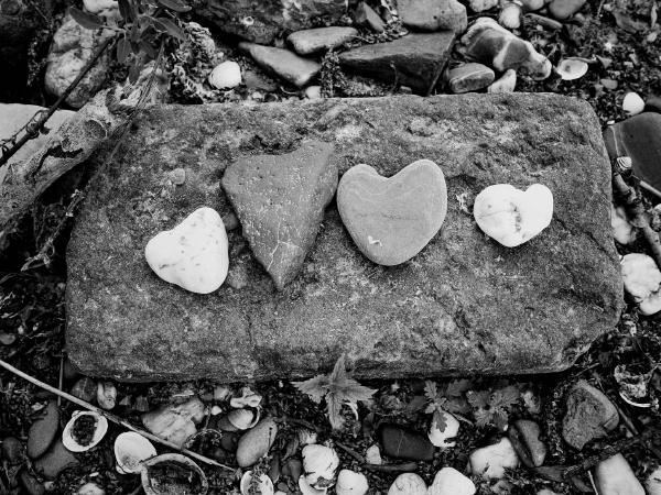 Week 28 - Heart Stones. Who collected the stones on the banks of the Rhine and deposited them so decoratively?