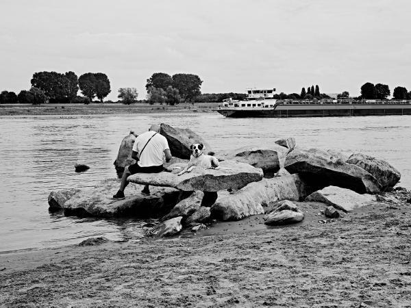 Week 34 - Break. Dog and master take a break. The large boulders belong to the so-called "hunger stones" on the banks of the Rhine near Meerbusch-Büderich and are not visible at normal water levels of the Rhine. They were called "hunger stones" in earlier centuries, because the visibility of the stones due to little water in the Rhine meant drought and thus a poor harvest.