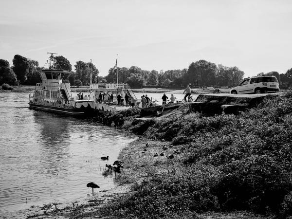 Week 40 - Excursion. In sunny and very beautiful autumn weather, many excursionists use the Rhine ferry "Michaela II" between Meerbusch Langst-Kierst and Düsseldorf-Kaiserswerth to visit the other side of the Rhine.