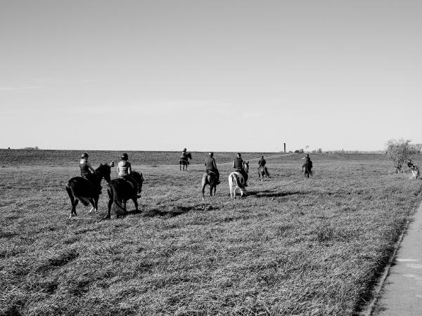 Week 45 - Ride. The meadows between the dike and the Rhine are popular for a community horseback ride.