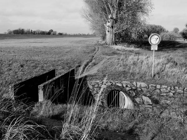Week 47 - Stingesbach. Here, the Stingesbach, a small stream, and a rainwater collector near Meerbusch-Büderich flow into the Rhine. The Stingesbach is fed exclusively by rainwater and groundwater without having a source. Due to the drought in recent years, the brook has unfortunately not carried water for several years.