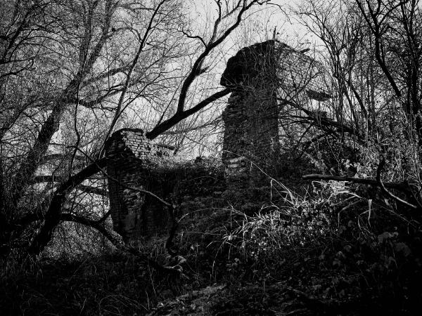 Week 50 - Ruin of the Stone Bridge and irrigation lock. In the night from January 15 to 16, 1920, the Rhine reached its highest flood level for decades in the area of today's Meerbusch after a long period of rain and large amounts of meltwater. In the area of the Mühlenbach irrigation lock (called "Stone Bridge") between Ilverich and Büderich, the Rhine dam broke over a length of 50-70m. The enormous water masses completely destroyed the structure and flooded villages and land behind the dike over a wide area. Today's dike forms an arc around the remains of the structure, which has now been a reminder of the last flood disaster in the region for over 100 years.