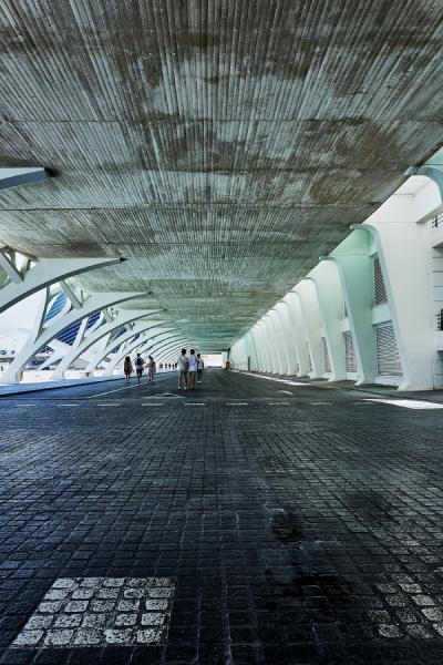 La Ciutat de les Arts i les Ciències, Valencia (2020)