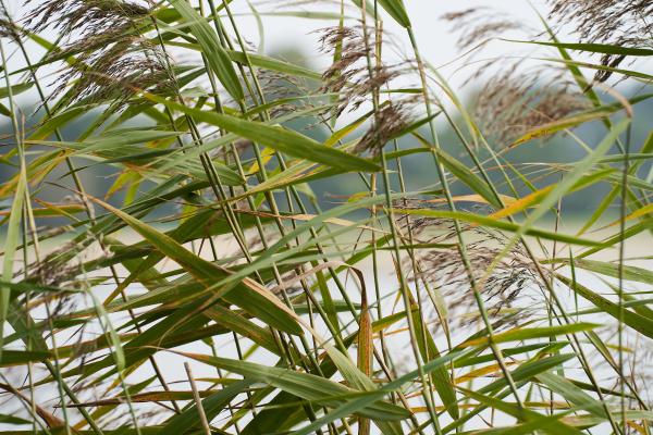 Texture of nature (2021)