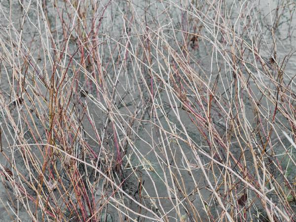 A conversation with nature